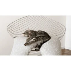 Beaba Big Flopsy ™ Print Jersey Tiny -Beaba 0508112 product amb 3a