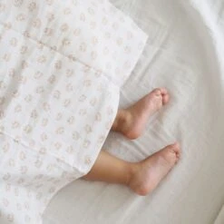 Beaba Lot De 3 Langes En Coton Hedgehog -Beaba 920346 product amb 4z